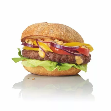 Salomon Food - Ranch Master® Burger 100g [50db]