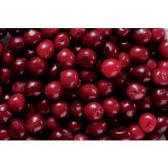 Magozott meggy [2.5kg]