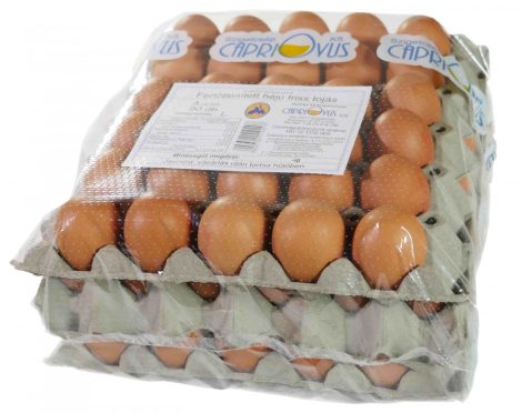 Friss tojás (fertőtlenített héjű) [90db]