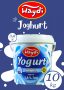 Haydi Joghurt 3.8% [10kg]